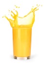Glass of splashing orange juice Royalty Free Stock Photo