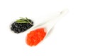 Glass spoons with caviar isolated Royalty Free Stock Photo
