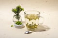 Glass of spruce tips tea