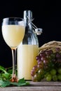 Glass of stum and grapes Royalty Free Stock Photo