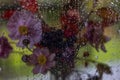 Glass surface with water drops and a defocused bouquet of flowers on the other side. Abstract background
