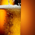 Glass of tasty beer with foam, closeup Royalty Free Stock Photo