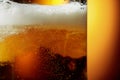 Glass of tasty beer with foam, closeup Royalty Free Stock Photo