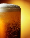 Glass of tasty beer with foam, closeup Royalty Free Stock Photo