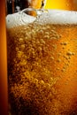 Glass of tasty beer with foam, closeup Royalty Free Stock Photo