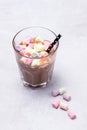 Glass of Tasty Chocolate Milk with Colorfull Marshmallow and Straw Vertical