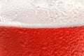 Glass of tasty red beer with foam, Royalty Free Stock Photo