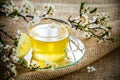 Glass tea cup cherry blossoms.