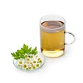 Glass of tea with fresh Feverfew flowers