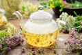 Glass tea kettle of healthy herbal tea, thyme, linden blossom, St Johns wort, yarrow, chamomile, calendula medicinal herbs Royalty Free Stock Photo