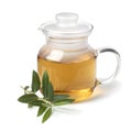 Glass tea pot with dried olive leaves tea and a fresh twig of olive leaves on white background