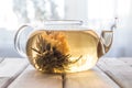 A glass tea pot with Flower Chinese tea on wooden background in front of the window Royalty Free Stock Photo