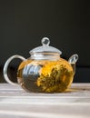 A glass tea pot with Flower Chinese tea on wooden table in front of dark background Royalty Free Stock Photo