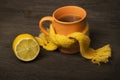 Glass of tea in a scarf Royalty Free Stock Photo