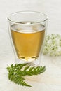 Glass of tea with a twig of fresh cow parsley Royalty Free Stock Photo