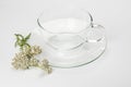 Glass Teacup And Yarrow Blossom