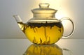 Glass teapot