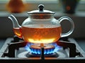 Glass Teapot Boiling on Stove with Gas Flame Visible Royalty Free Stock Photo