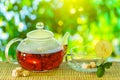 Glass teapot with brewed tea is on the table on a sunny summer day Royalty Free Stock Photo