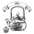 Glass teapot with Chinese herbal tea Royalty Free Stock Photo