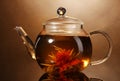 Glass teapot and cup with exotic green tea Royalty Free Stock Photo