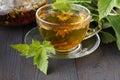 Glass teapot and cup with green tea on old wooden table with fresh herbs Royalty Free Stock Photo