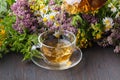 Glass teapot and cup with green tea on old wooden table with fresh herbs Royalty Free Stock Photo