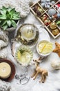 Glass teapot with green tea, flower, candle, knitted plaid and box of christmas decorations on a fluffy carpet on a light Royalty Free Stock Photo