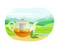 Glass Teapot with Hot Aromatic Beverage Brewing and Tea Green Terrace Field Plantation Vector Illustration