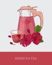 Glass teapot with strainer, cup of red hibiscus tea and roselle flowers and leaves hand drawn on gray background Royalty Free Stock Photo