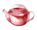 Glass teapot with tea isolated on white background. Watercolor hand drawn illustration. Royalty Free Stock Photo