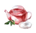 Glass teapot with tea isolated on white background. Watercolor hand drawn illustration Royalty Free Stock Photo