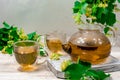 A glass teapot and two cups of tea with a linden tree on a wooden table against a background of linden leaves and Royalty Free Stock Photo