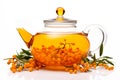 A glass teapot with sea-buckthorn berries, oolong tea in glass kettle isolated on white background. Chinese tea ceremony Royalty Free Stock Photo