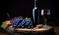 A Glass of Tempting Red Wine Paired With a Bottle and a Bountiful Bunch of Grapes Royalty Free Stock Photo