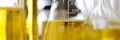 Glass test tubes and flasks stand on table in pharmaceutical laboratory closeup Royalty Free Stock Photo