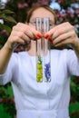 Glass test tubes with flower samples, close-up. Female hands holding flasks, blurred background. Study of plants, medicinal herbs