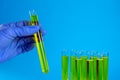 Glass test tubes with laboratory yellow liquids Royalty Free Stock Photo