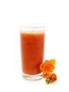 Glass of tomato juice Royalty Free Stock Photo