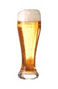 Glass of translucent frothy beer