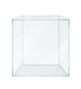 Glass transparent ballot box for election voting vector illustration