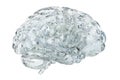 Glass transparent brain, 3D rendering
