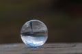 Glass transparent crystal glass ball on dark green Royalty Free Stock Photo