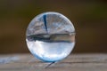 Glass transparent crystal glass ball on dark green Royalty Free Stock Photo