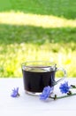 Glass transparent cup with chicory drink and blue flowers on green natural background.