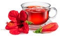 Glass transparent cup with hibiscus tea with big flower and hibiscus burgeon isolated on white