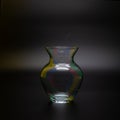 Glass transparent curly flower vase