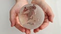 Glass transparent globe in children hands closeup Royalty Free Stock Photo