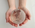 Glass transparent globe in children hands Royalty Free Stock Photo