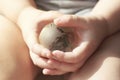 Glass globe, planet Earth, in the hands of a child Royalty Free Stock Photo